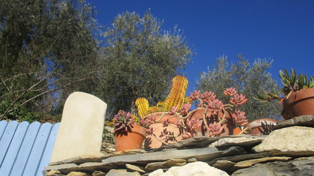 B&B Ududema Dolcedo Exterior photo